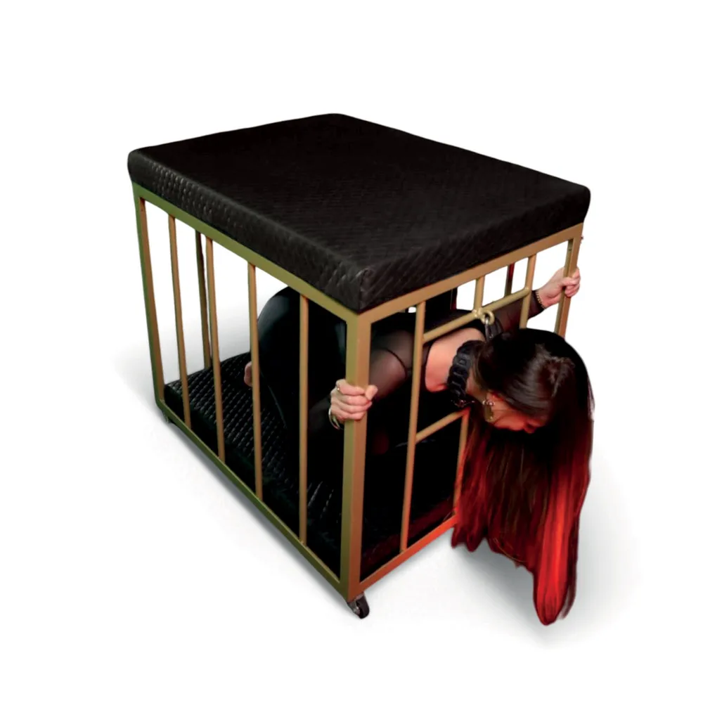 Mobilier BDSM : Cage de soumission, dorée et noire.